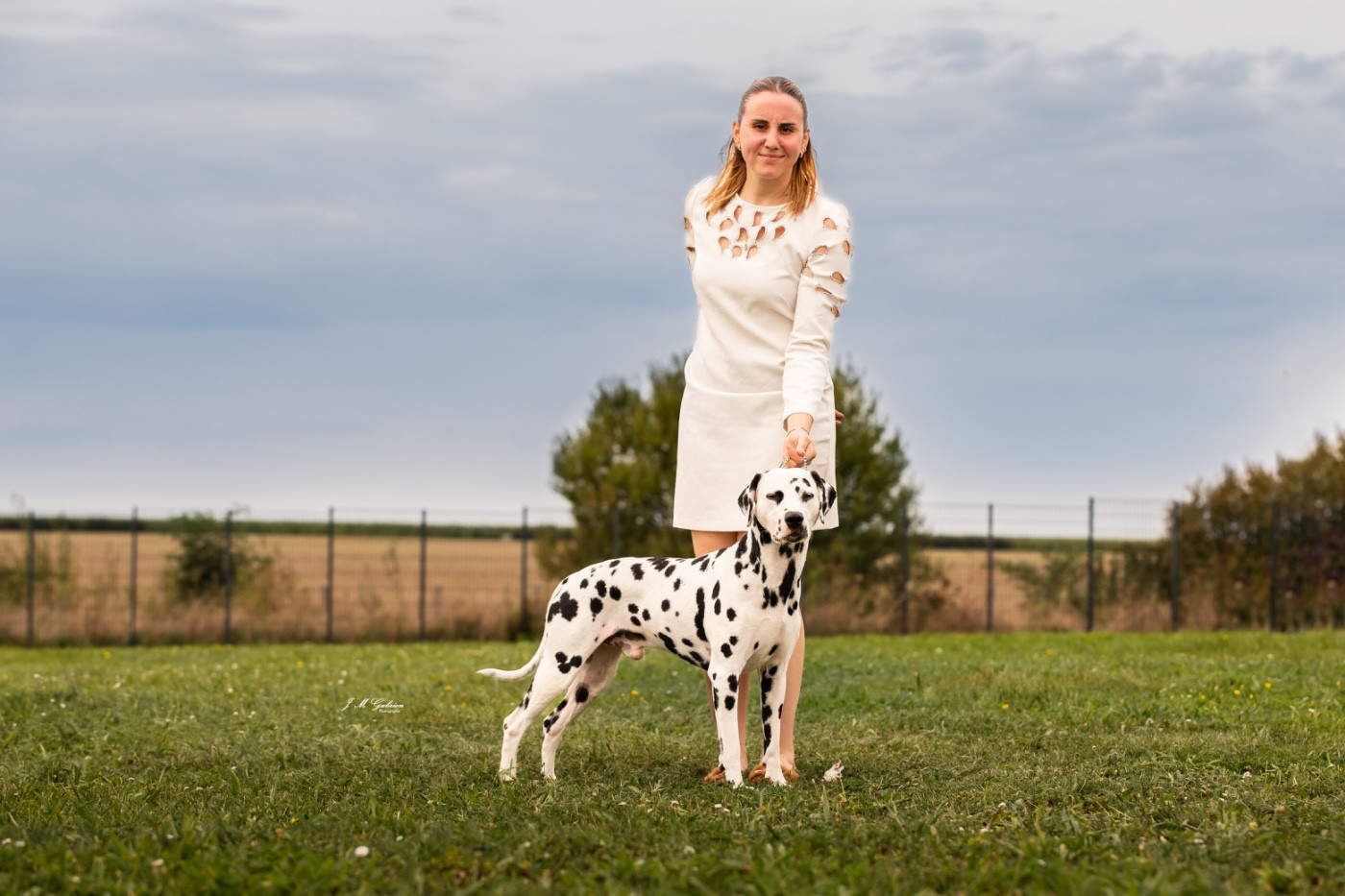 CH. Royally Perfect Of A Majestic Spotted White